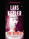 Cover image for The Fire Witness